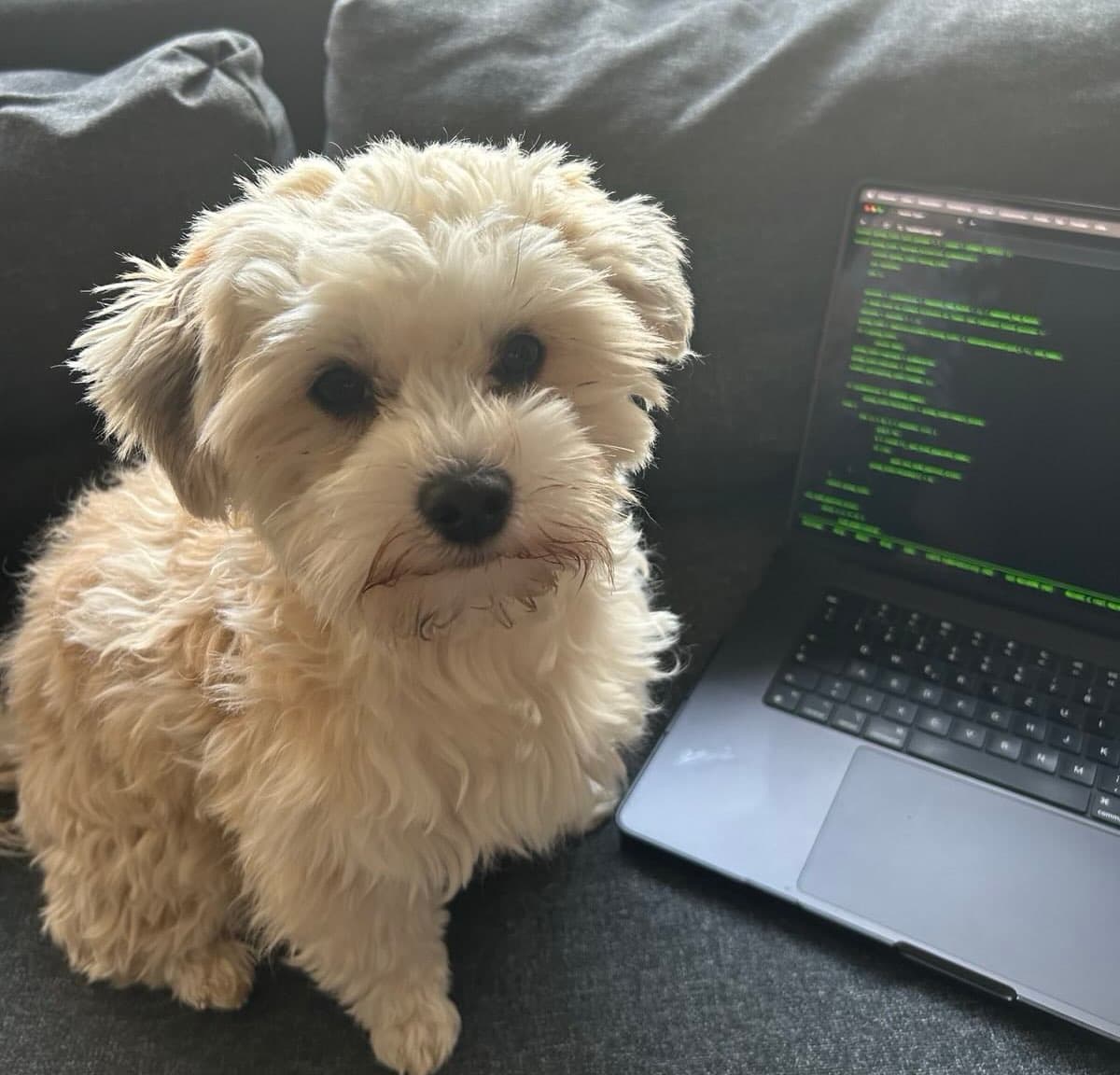 Fido