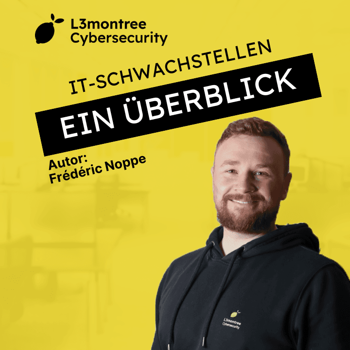 Schwachstellen in der IT - Ein Überblick